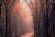 特朗普批马杜罗模仿其舞蹈：一场跨洋的“舞林对决”