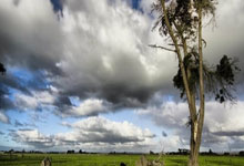 特朗普批马杜罗模仿其舞蹈：一场跨洋的“舞林对决”