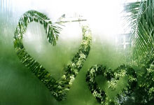 特朗普批马杜罗模仿其舞蹈：一场跨洋的“舞林对决”