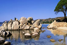 特朗普批马杜罗模仿其舞蹈：一场跨洋的“舞林对决”